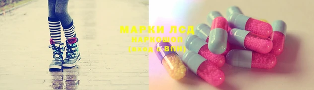 тгк Нея