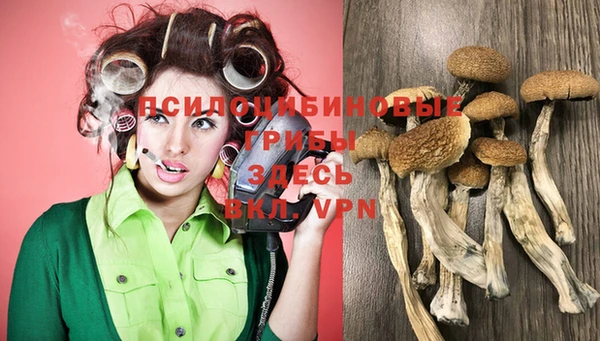 тгк Нея