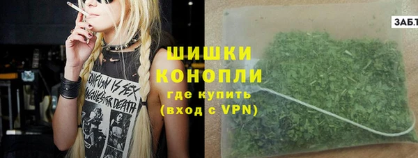 тгк Нея