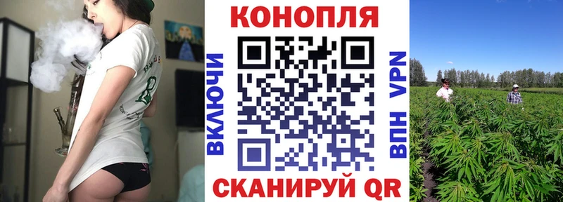 Канабис ГИДРОПОН  что такое   Щёлкино 